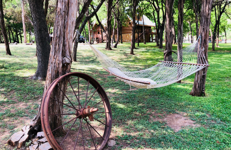 Hammock at Log Country Cove.