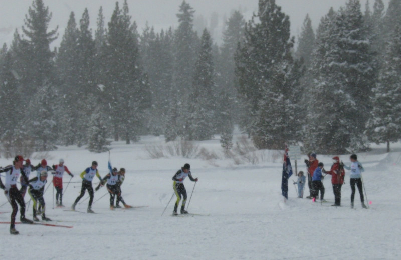 Skiing at Yellowstone Wildlife Cabins.