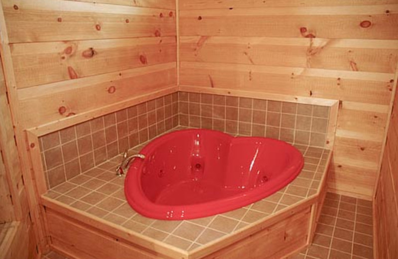 Vacation Rental Bathroom at Volunteer Cabin Rentals