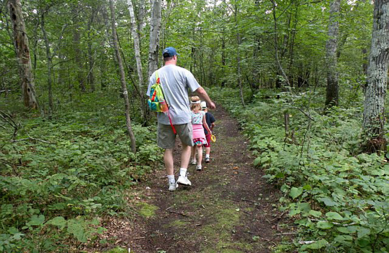 Hiking in the woods at Pine Terrace Resort.