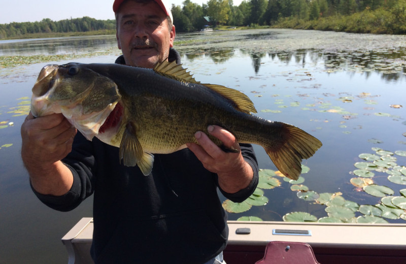 Fishing at Fox Lake Resort.