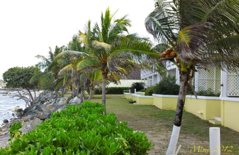 Oceanfront at Tamarind Reef Resort