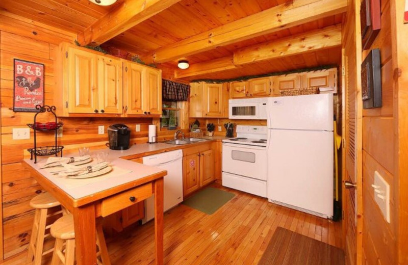 Cabin kitchen at Little Valley Mountain Resort.