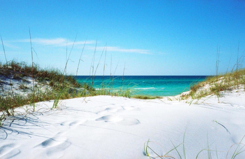 Beach at Alicia J. Hollis, Realtor.