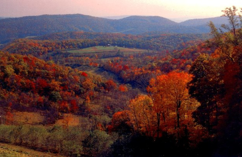 Fall colors at 7C's Lodging.