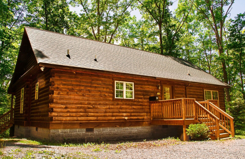 Cabin exterior at ACE Adventure Resort.