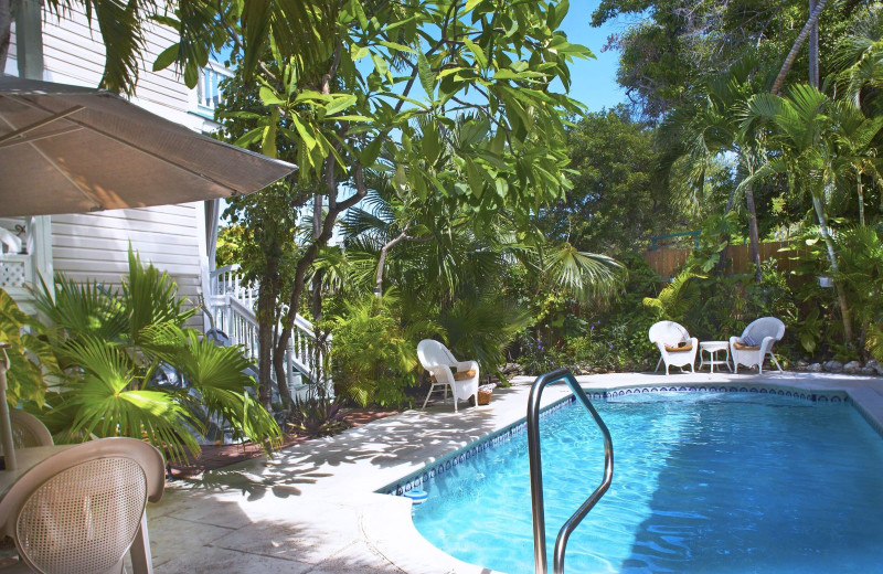Outdoor pool at Coco Plum Inn.