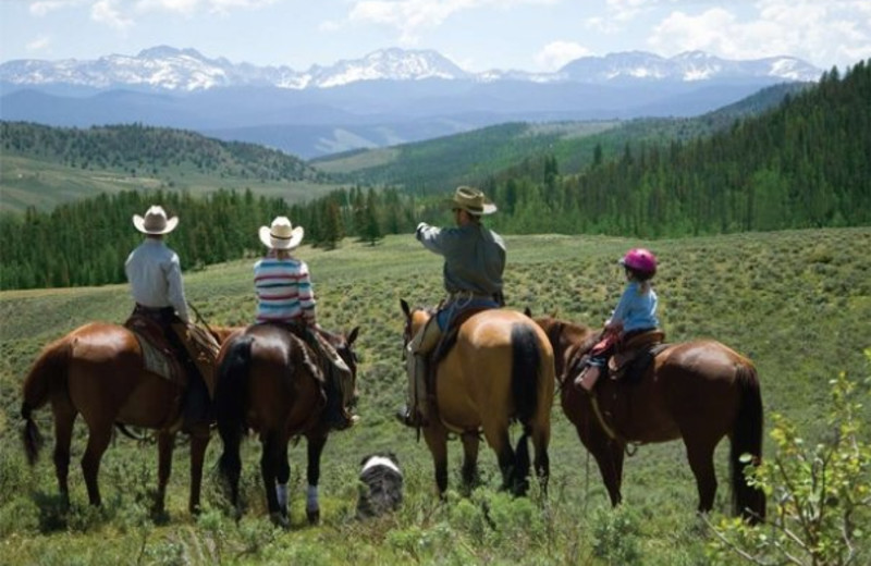 Horseback riding at C Lazy U Ranch.