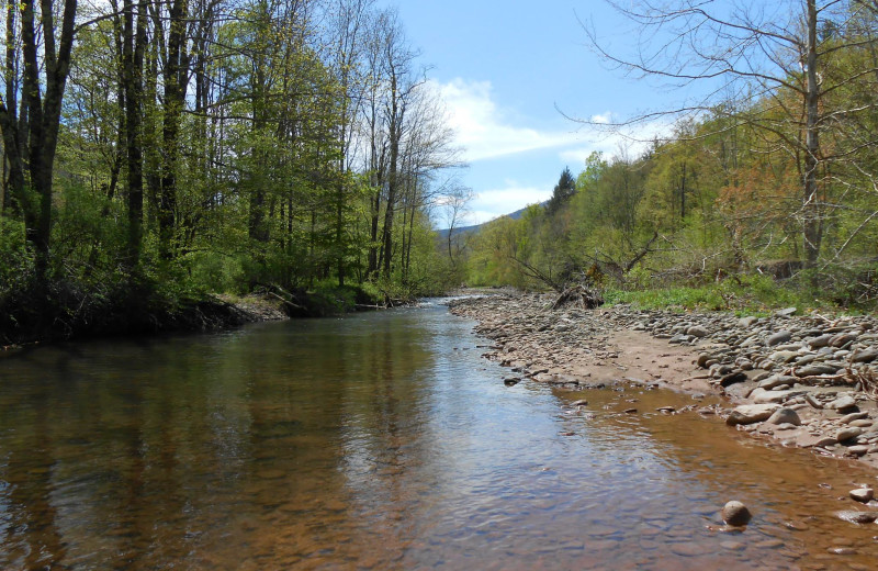 The Esopus Creek Trail at Cold Spring Lodge.