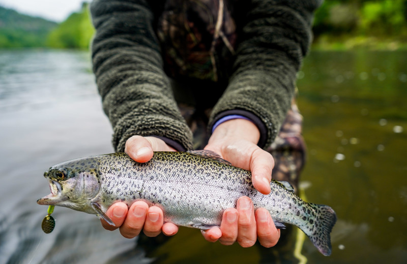 Fishing at Blue Beaver Luxury Cabins.
