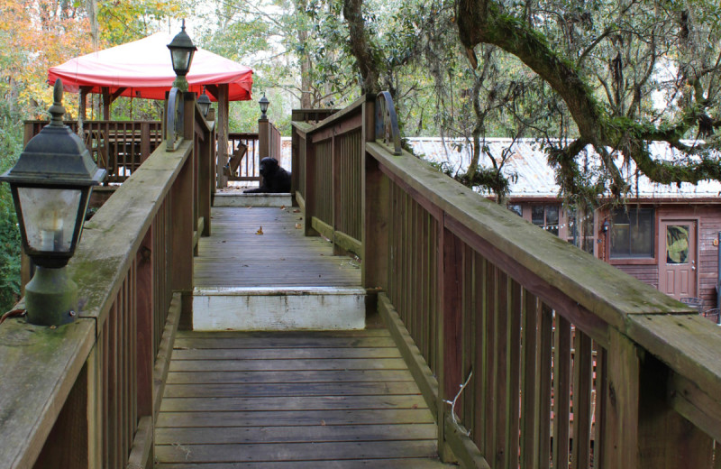 Cabin deck at Berry Creek Cabins.