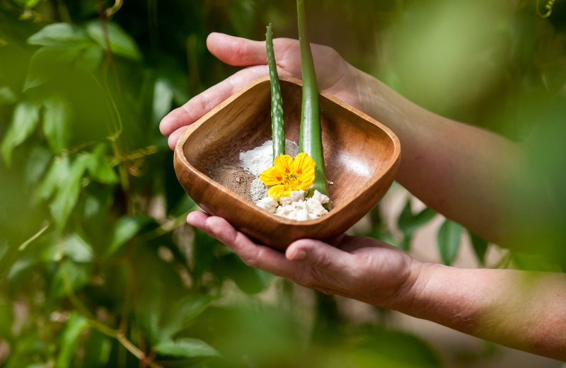 Spa scrub at Joyful Journey Hot Springs Spa.