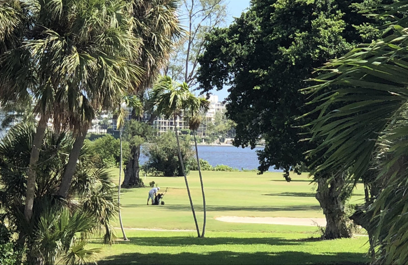 Golf near Sabal Palm House B 