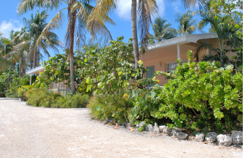 Cottages at Coral Bay Resort.