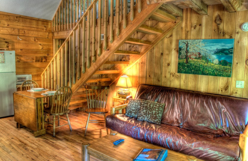Cabin living room at Hidden Creek Cabins.