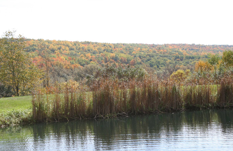 Lake at The 1819 Red Brick Inn B