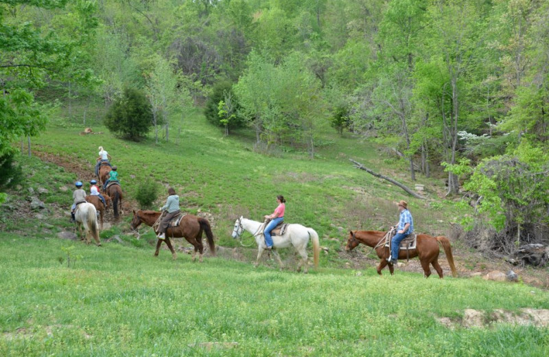 Trail Rides at Horseshoe Canyon Ranch