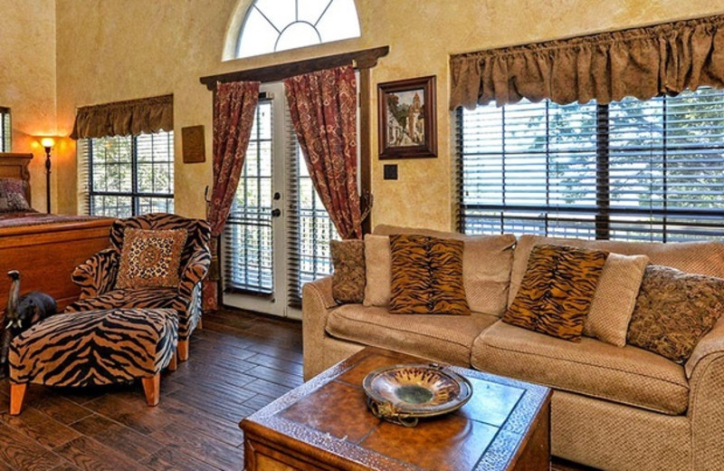 Living room at Casa Escondida.