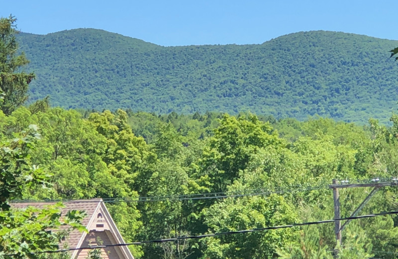 Mountains at Antique Rose Inn.