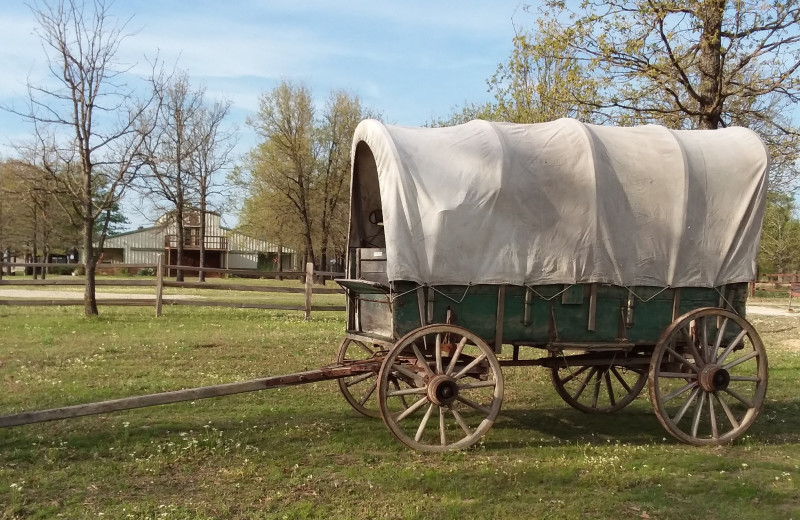 Exterior view of Mustang RV Ranch.