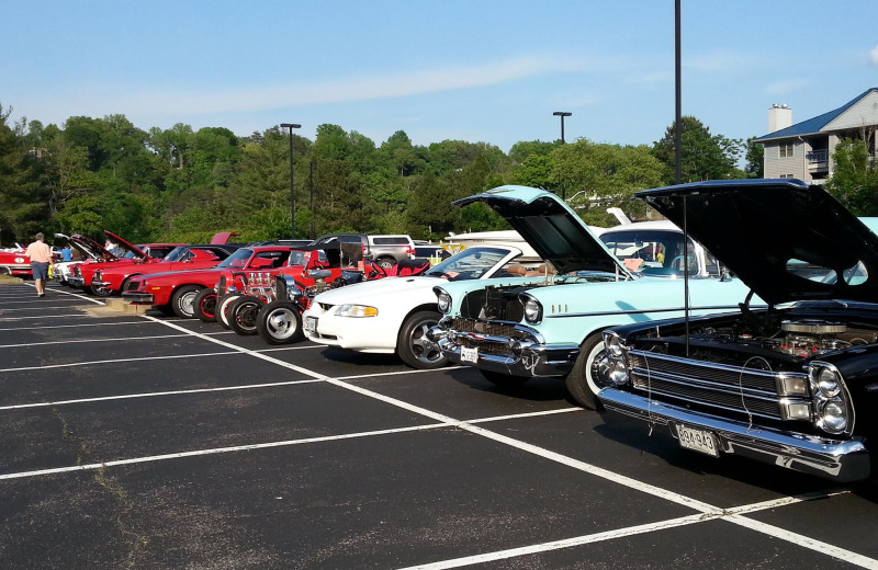 Car show at Jamestown Resort and Marina.