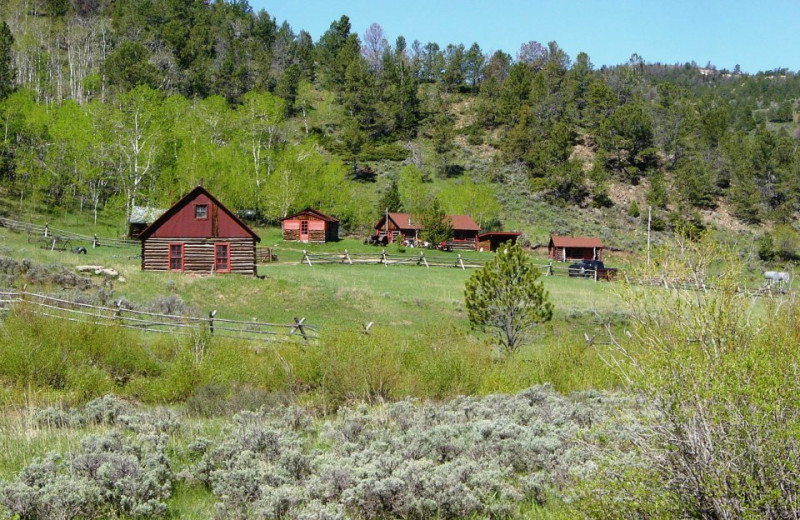 Cabins at The Sugar & Spice Ranch