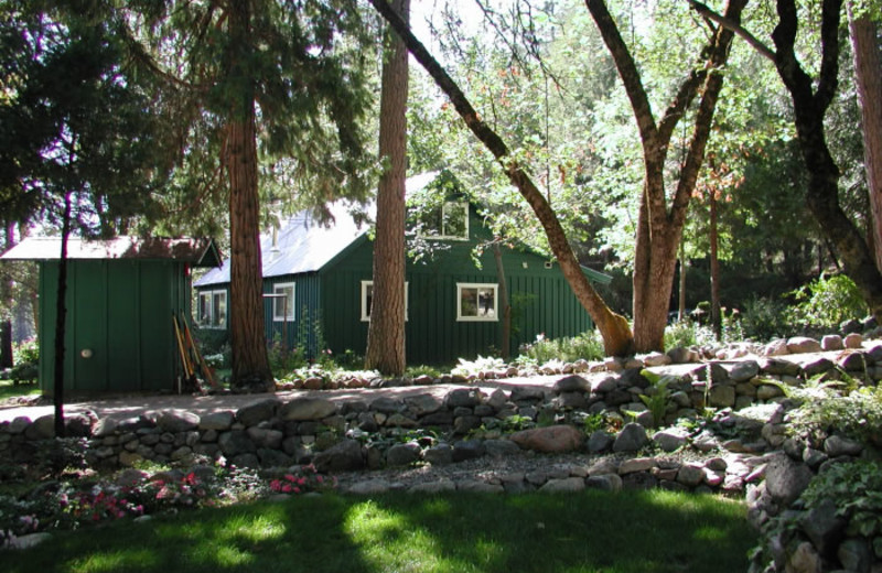 Cabins at Ripple Creek Cabins.