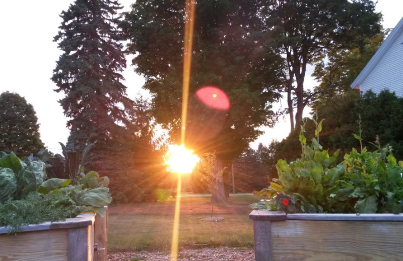 Garden at Albergo Allegria.