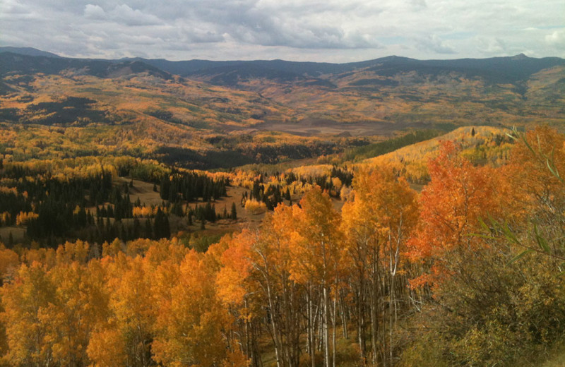 Fall foliage at Wild Skies Cabin Rentals.