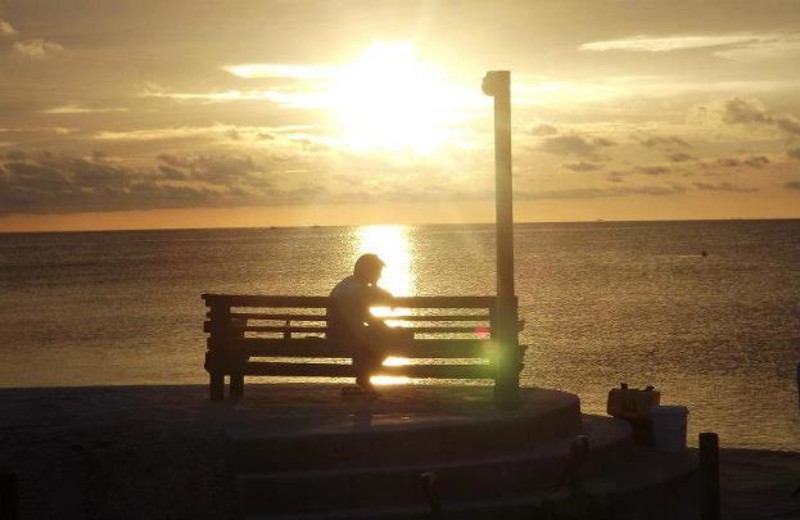 Person on bench with sunset over ocean at Coral Bay Resort.