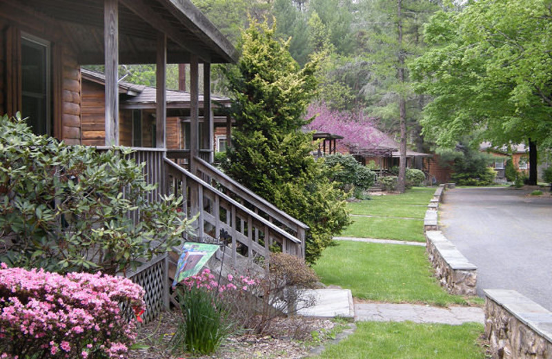 Exterior of Cabins at Brookside Cabins