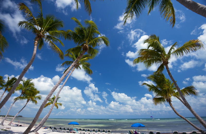 Beach at 1800 Atlantic, All Florida Keys Property Management.