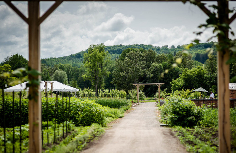 Farm at Hockley Valley.