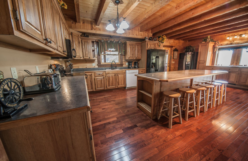 Cabin kitchen at Oak Haven Resort.