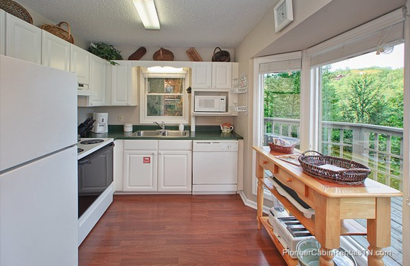 Rental kitchen at Pioneer Rental Management.