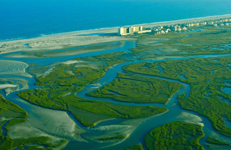 Aerial view of Shell Island Resort.