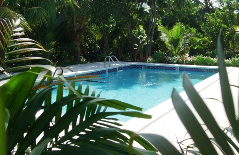 Outdoor pool at The Retreat at Lookout.