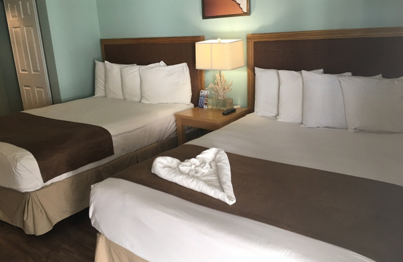 Guest room at The BeachView.