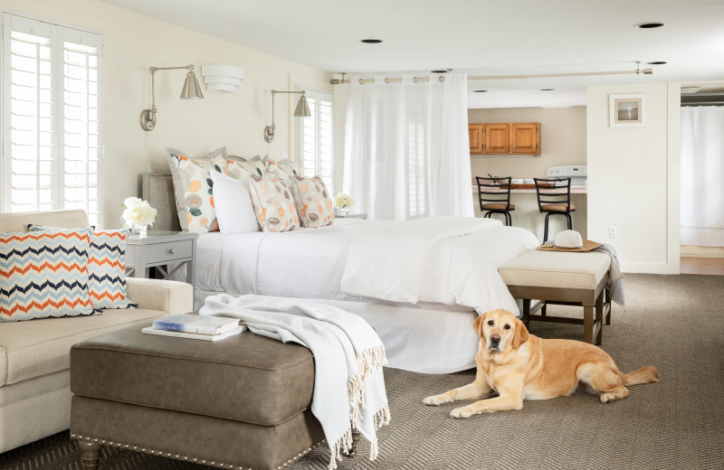 Pets welcome at Vineyard Square Hotel & Suites.