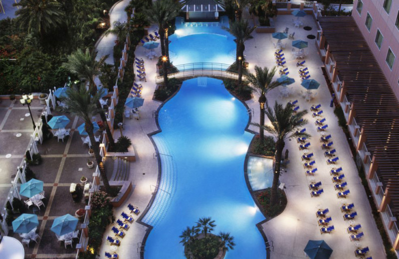 Pool at Moody Gardens Hotel.