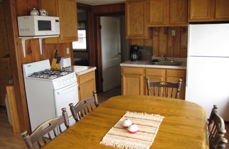 Cabin kitchen at Mill Lake Resort.