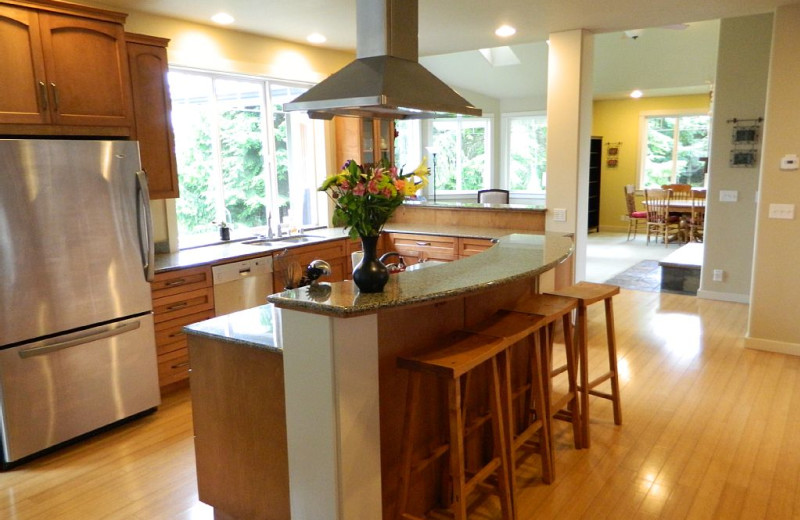 Kitchen at Blue Mountain Retreat.