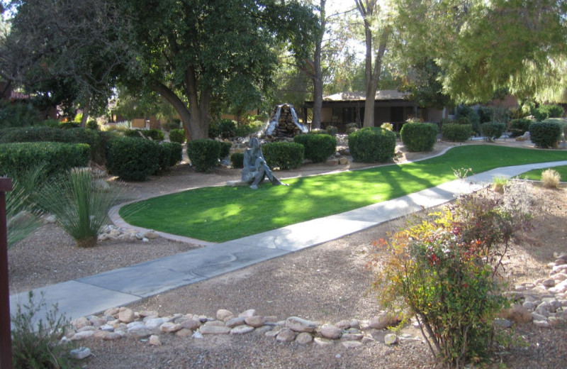 Grounds at Canyon Ranch Tucson.