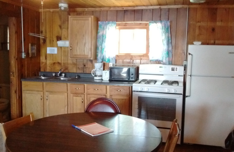 Cabin kitchen at Beaver's Resort.