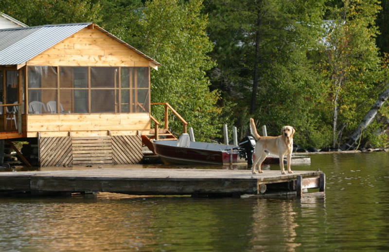 The Docks at Red Pine Wilderness Lodge