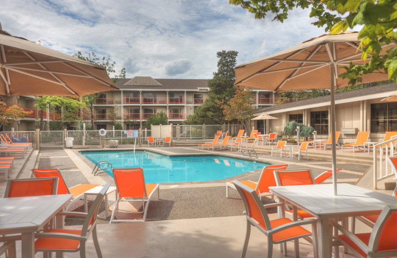 Pool at The Village Suites at Ashland Hills.