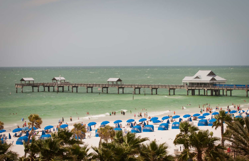 Beach at Hyatt Regency Clearwater Beach Resort 