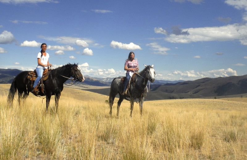 Horseback riding at Rocking Z Ranch.