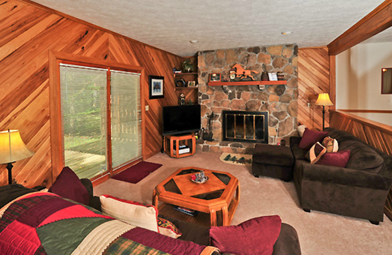 Vacation rental living room at Aspen Village.