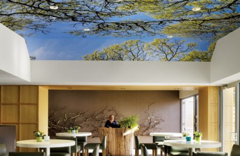 Patio Dining at Hotel Paradox